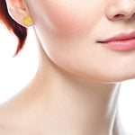 Load image into Gallery viewer, 14k Yellow Gold Horse Shoe Stamp Pushback Earring