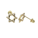 Load image into Gallery viewer, 14k Gold Star of David Stud Earrings with Screw Back