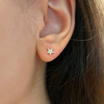 Load image into Gallery viewer, Dazzling 14K Gold Pave Star Earrings